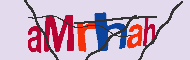 キャプチャ(CAPTCHA)認証コード
