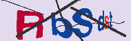 キャプチャ(CAPTCHA)認証コード