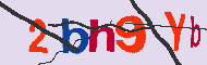 キャプチャ(CAPTCHA)認証コード